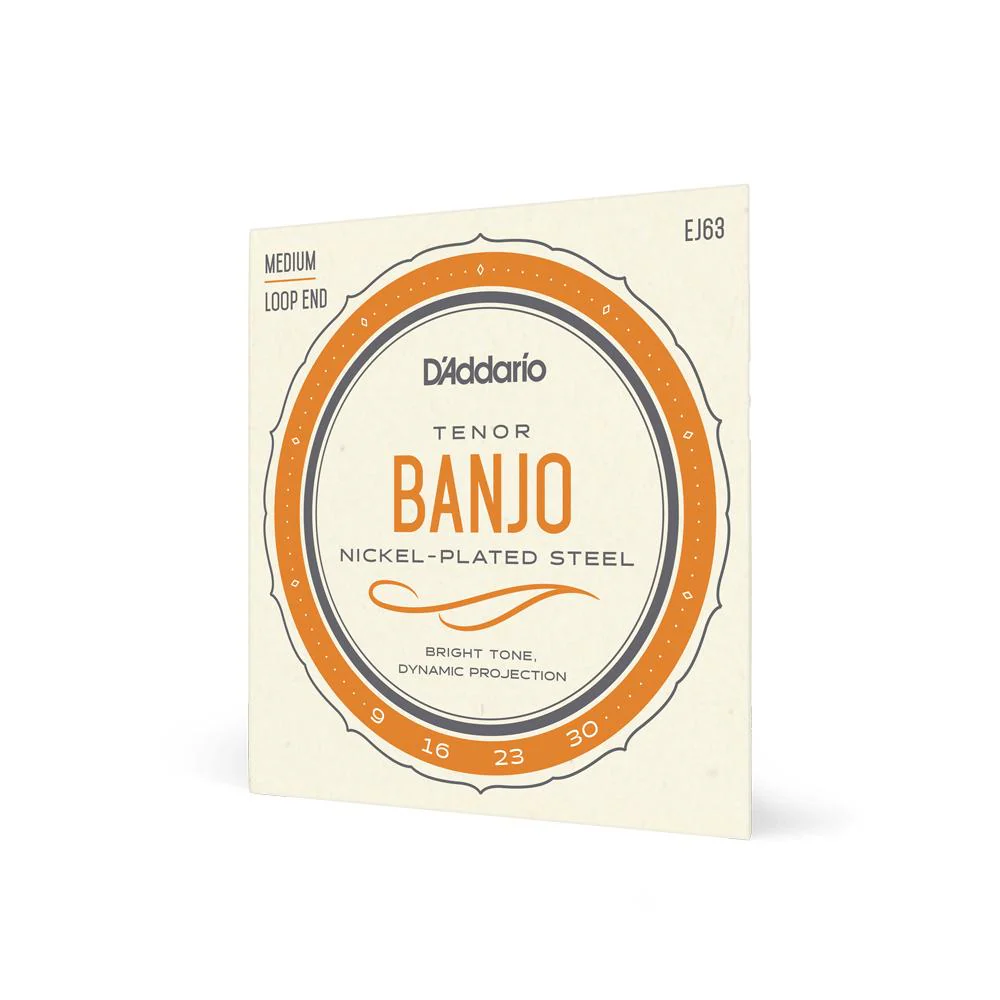 D'Addario Nickel-Plated Steel Tenor Banjo Strings | 9-30