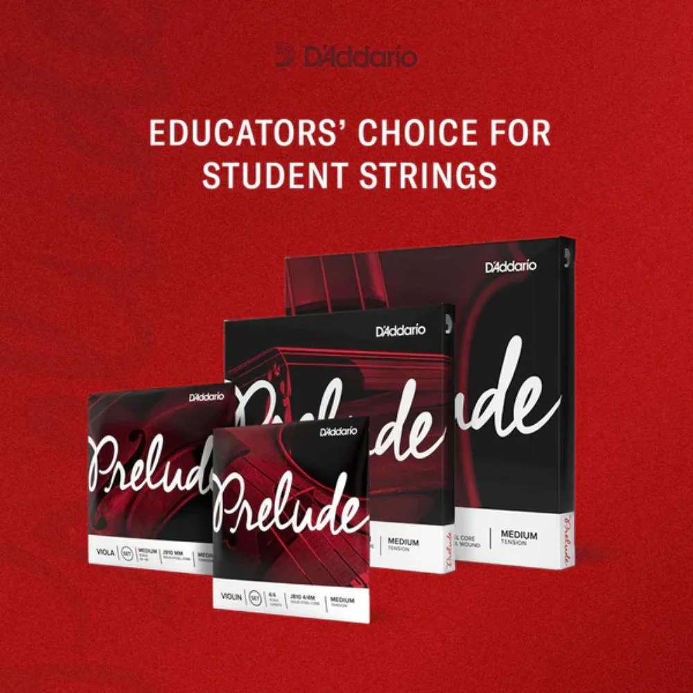 D'Addario Prelude Violin String Set | 1/2 Scale (Medium Tension) - Image 5