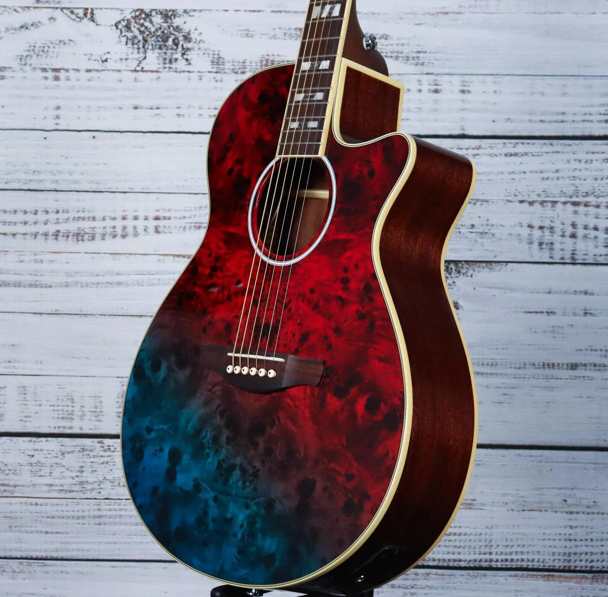 Ibanez AEGA250 250th USA Anniversary Limited Edition Acoustic | (IN STOCK) - Image 5