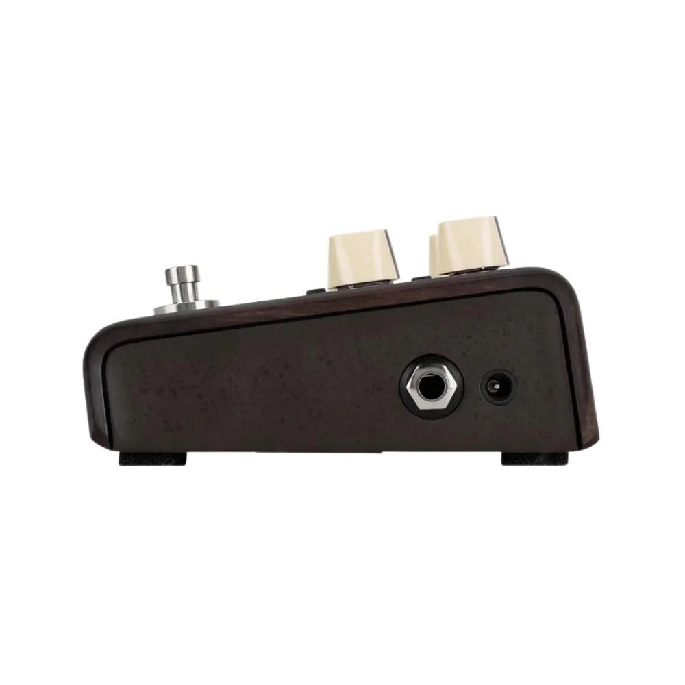 L.R. Baggs Align Series Delay Acoustic Guitar Pedal | Repeat & Set Time Intervals - Image 3