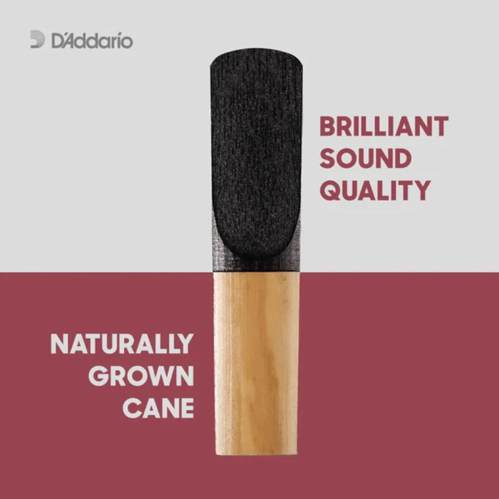 D'Addario Plasticover Alto Saxophone Reeds | 2.0 | 5-Pack - Image 2