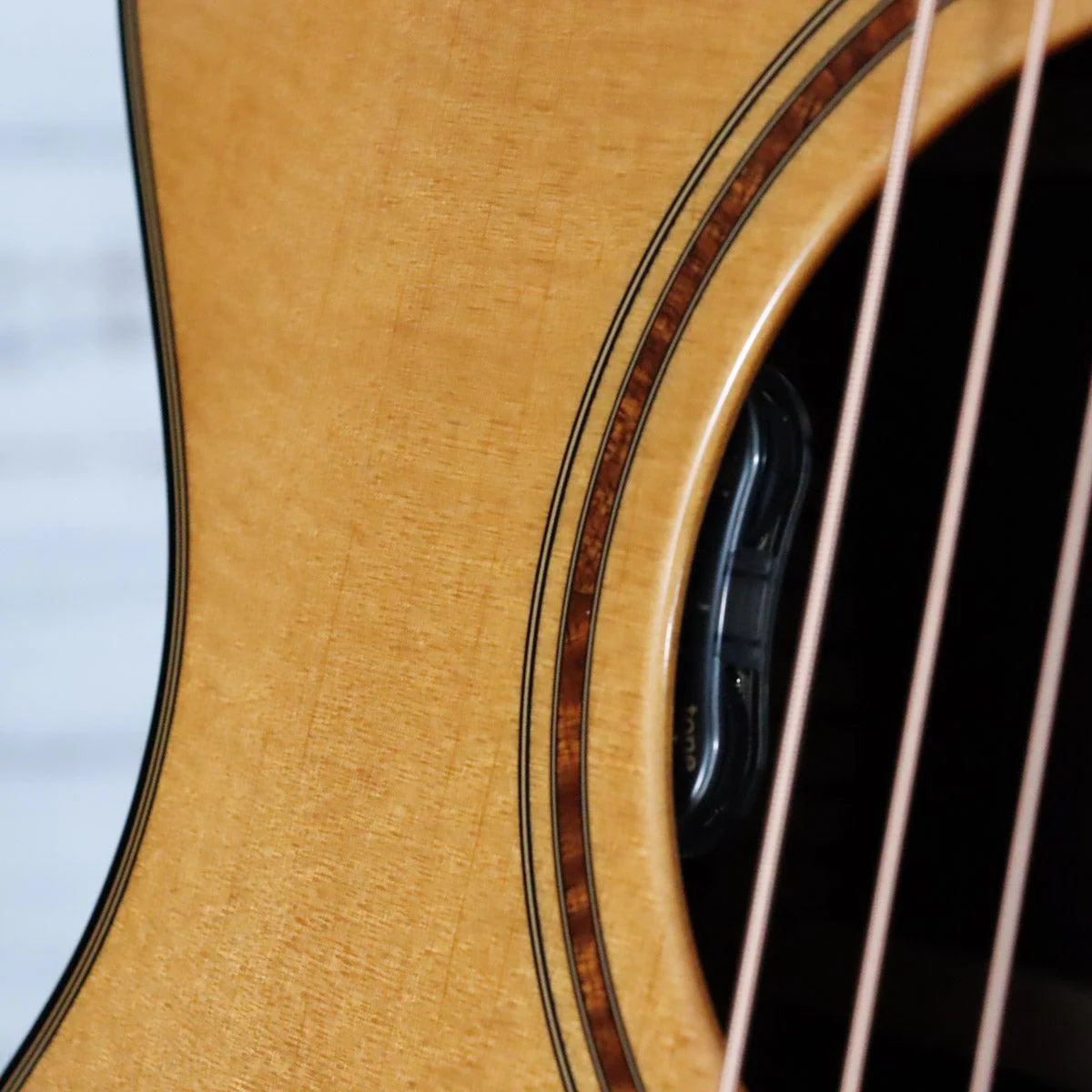 Breedlove RTC-SRce Roots Cutaway Concert Acoustic-Electric Guitar | Sitka Spruce & Indian Rosewood - Image 6
